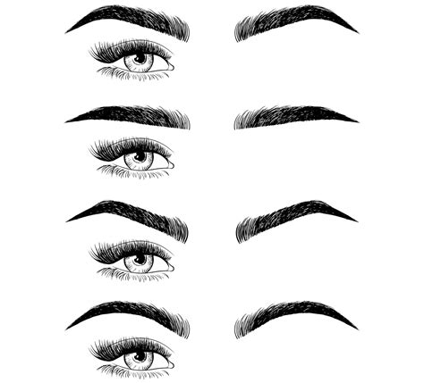 Eyebrow Pictures Shapes - EyebrowShaper