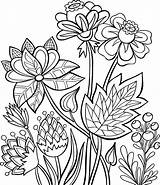 Flower Coloring Pages Free Printable & coloring Book sketch template