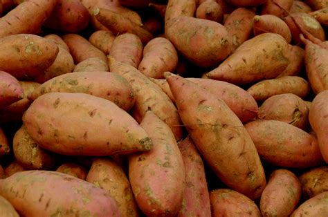 Close-up Of Sweet Potatoes Free Stock Photo - Public Domain Pictures