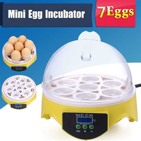 BEST EGG INCUBATOR IN 2020 REVIEWS AND BUYING GUIDE Egg Hatching ...