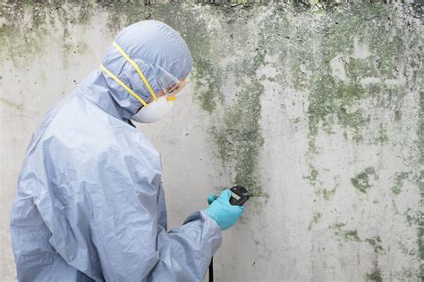 What You Need to do to Remove Mold Caused From Water Damage - WorthvieW