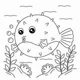 Porcupine Fish Clipart Coloring sketch template