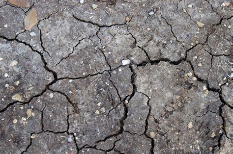 Dried Earth Background Free Stock Photo - Public Domain Pictures