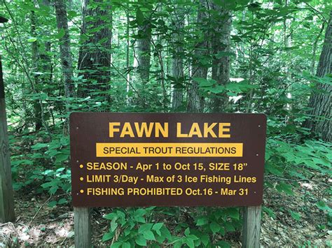 Fawn Lake - Protect the Adirondacks!