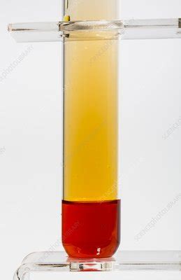 Bromine in water - Stock Image - C018/9369 - Science Photo Library