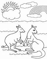Kangaroo coloring Page 15 sketch template
