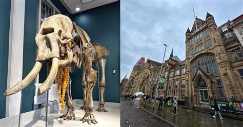 Manchester Museum to reopen this weekend after £15m transformation ...