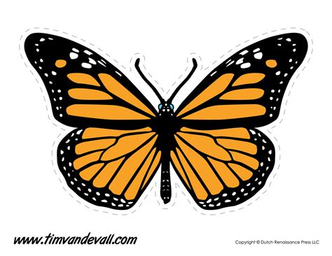 Butterfly Drawing Template at GetDrawings | Free download