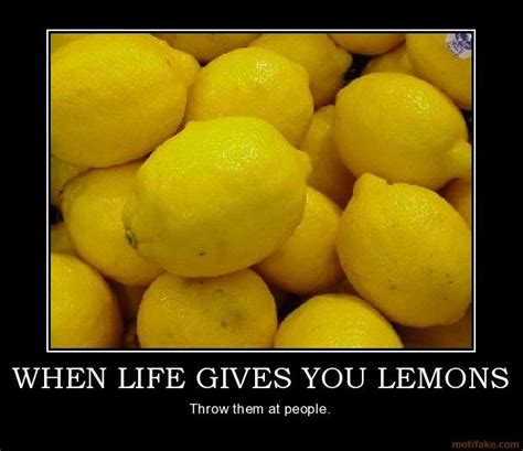 Google Image Result for http://www.motifake.com/image/demotivational-poster/0811/when-life-gives ...