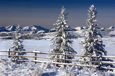 *🇨🇦 Snowy fields (near Black Diamond, Alberta) by Frank King / 500px | Snowy field, Landscape ...