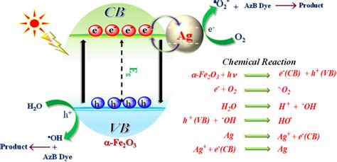 Plausible mechanism of photocatalytic degradation process. | Download Scientific Diagram