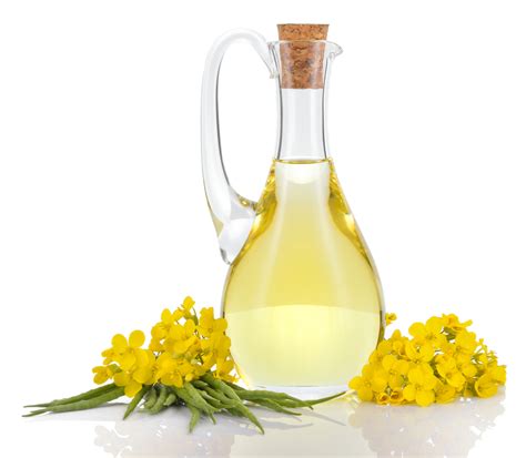 Why is Canola Oil OK? – Natural thyroid and hormone treatment