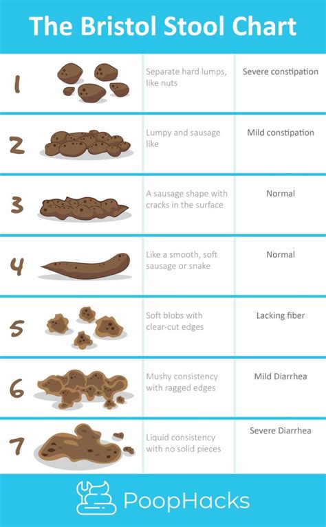 Bristol Stool Chart: What is Your Poop Telling You? - Poop Hacks