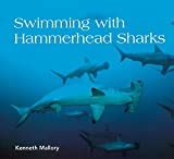 Fossilguy.com: Hammerhead Sharks - Facts and Information about Hammerheads. Fossil Hammerhead ...