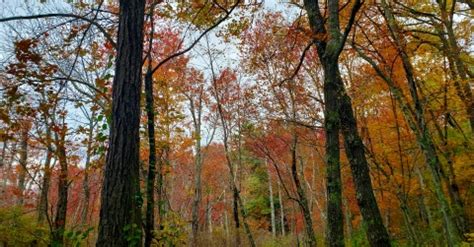 A fall foliage tour of the Northeast | U.S. Fish & Wildlife Service