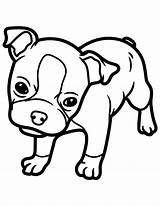 27 Beautiful Boston Terrier Coloring Pages  My Favorite sketch template