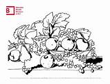 Still Life Coloring Page  Memphis Brooks Museum Of Art sketch template