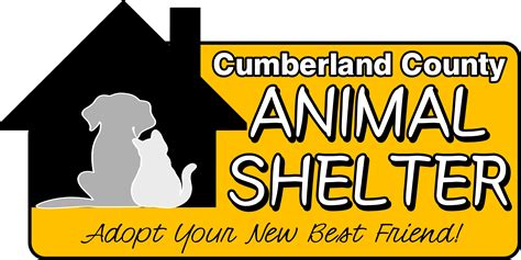 Pets for Adoption at Cumberland County Animal Shelter, in Crossville ...