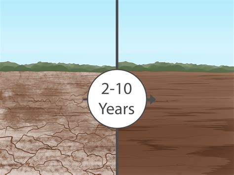 3 Simple Ways to Reduce Salinity in Soil - wikiHow