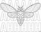 Cicada Coloring Pages  Etsy sketch template