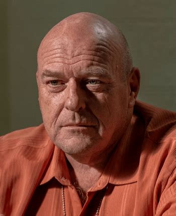 Hank Schrader | Breaking Bad Wiki | Fandom