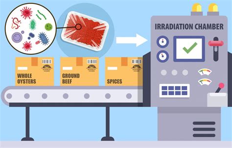 Eating Radiation? – The Process of Food Irradiation by Arya Thomas ...