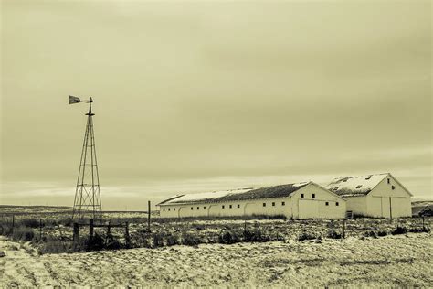 Aermotor Windmill 4 Photograph by Chad Rowe - Fine Art America