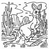Kangaroo Animal Coloring Page For Kids Stock Vector  Illustration Of sketch template
