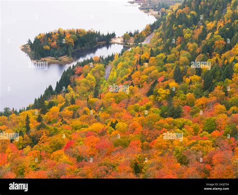 Fall colors in Quebec, in Mont Tremblant Provincial Park Stock Photo - Alamy