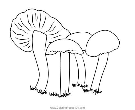Fungus Coloring Page for Kids - Free Mushrooms Printable Coloring Pages Online for Kids ...