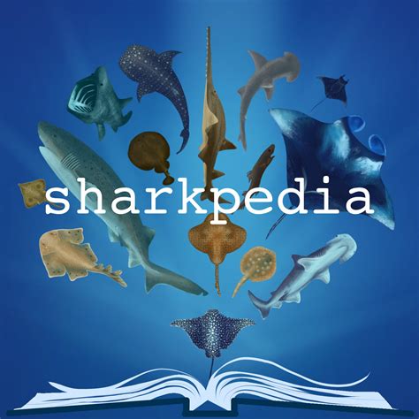 Shark Noses with Dr. Lauren Simonitis - Sharkpedia | Lyssna här | Poddtoppen.se