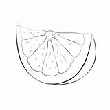 Grapefruit Cut See Coloring Page For Kids  Free Printable sketch template