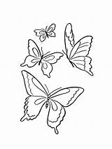 Four Butterflies coloring Page sketch template