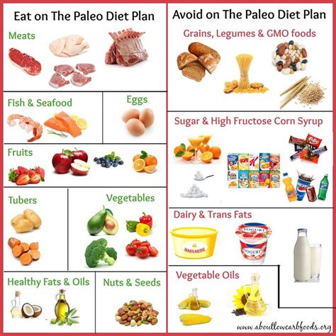 A Paleo Diet Plan That Can Save Your Life - About Low Carb Foods | What ...