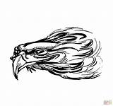 Eagle Head Coloring Pages sketch template