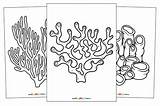 12 Printable Sea Coral Coloring Pages  Just Family Fun sketch template