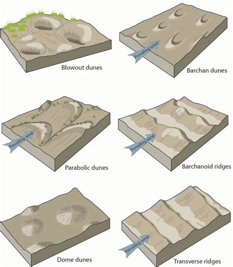 Aeolian (Dunes) Landforms - Geology (U.S. National Park Service)