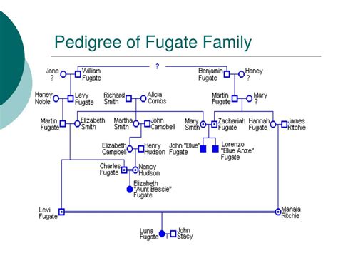 PPT - Methemoglobinemia: The real cause of the Blue People of Kentucky ...