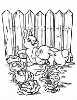 Gardening Coloring Pages  Best For Kids sketch template