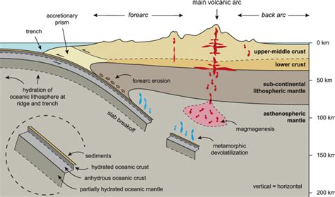 Schematic cross section of an ocean-continent convergent plate margin... | Download Scientific ...