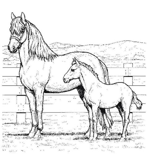 Mother And Baby Horse Coloring Pages Coloring Pages