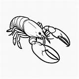 Lobster outline Black And White Cute coloring Book  Premium AI sketch template