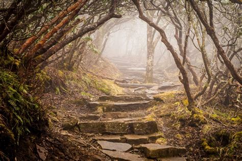 20 BEAUTIFUL Waterfalls in South Carolina to Check Out