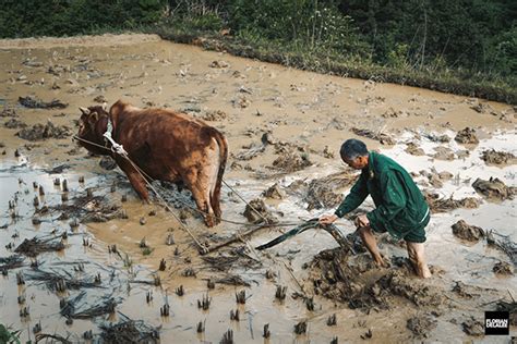 Guizhou Landscape :: Behance