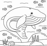 Printable Whale Coloring Pages sketch template