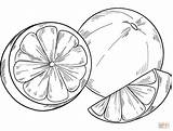 Oranges coloring Page  Free Printable Coloring Pages sketch template