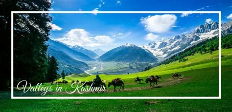 9 Most Beautiful Valleys In Kashmir To Visit In 2023!