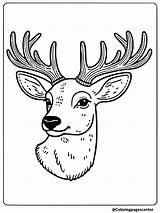 8 Christmas Deer Coloring Pages Free Printable sketch template