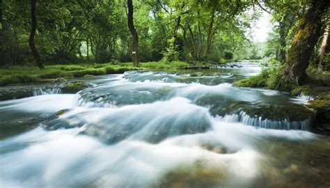 Definition of an Aquatic Ecosystem | Sciencing