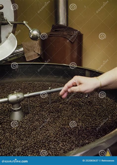 Cooling Organic Arabica Coffee Beans after Roasting Stock Image - Image ...